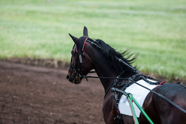 Similar image 10922103