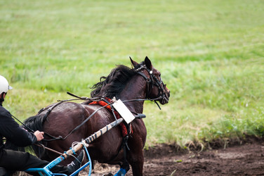 Similar image 10922104