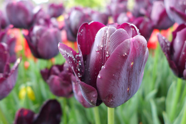 Similar image 10928191