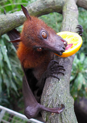 Similar image 10928184