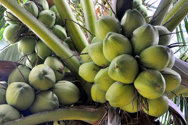 Similar image 10928193