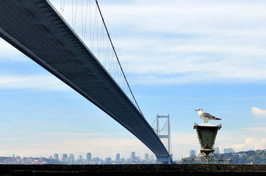 Similar image 10928194