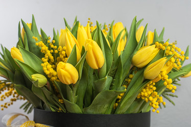 Similar image 10936462