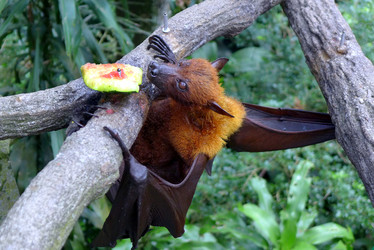 Similar image 10928198