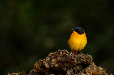 Similar image 10923378