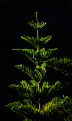 Similar image 10923806