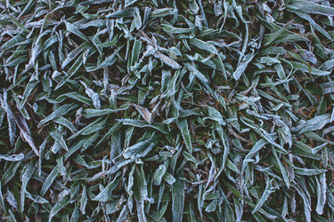 Similar image 10923379