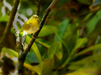 Similar image 10923810