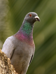 Similar image 10923297