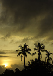 Similar image 10923814