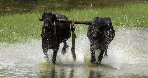 Similar image 10923816