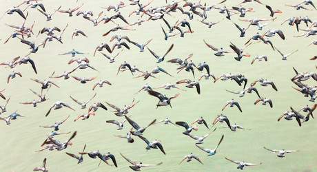 Similar image 10923298