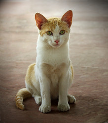 Similar image 10923302