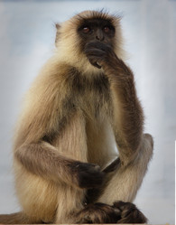 Similar image 10923262