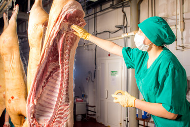 Similar image 10930341