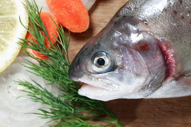 Similar image 10922564