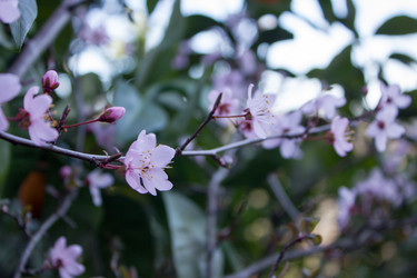 Similar image 10926230