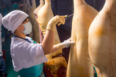 Similar image 10945016