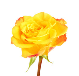 Similar image 10924325