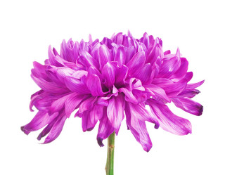 Similar image 10924336