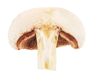 Similar image 10924201