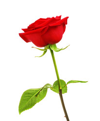 Similar image 10924207