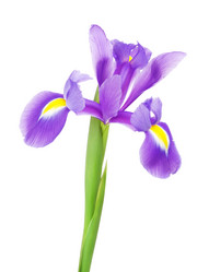 Similar image 10924208