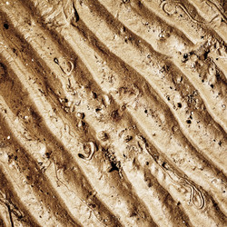 Similar image 10924211