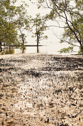 Similar image 10924213