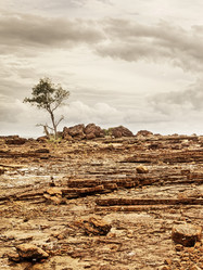 Similar image 10924248