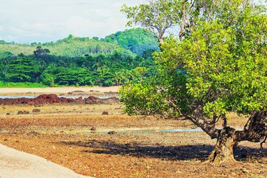 Similar image 10924252