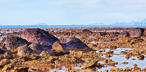 Similar image 10924257