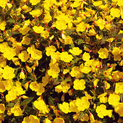 Similar image 10924290