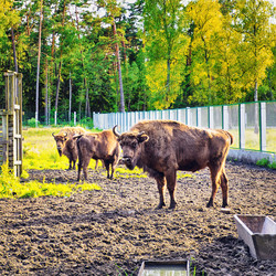 Similar image 10924295