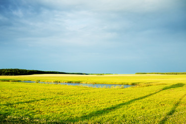 Similar image 10924296