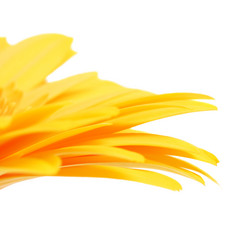 Similar image 10924300