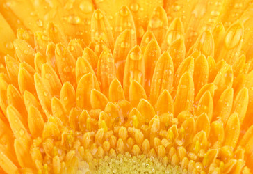 Similar image 10924301