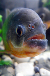 Similar image 10928201