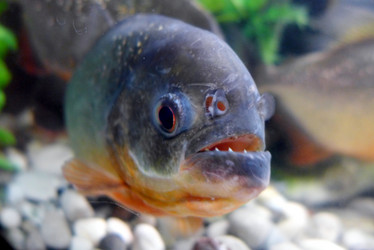 Similar image 10928202