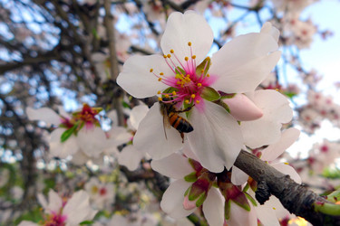 Similar image 10928205