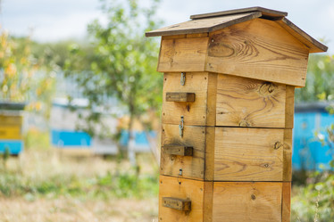 Similar image 10924318