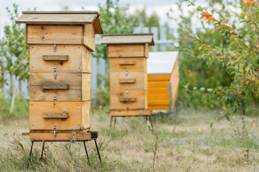 Similar image 10924323