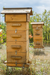 Similar image 10924324