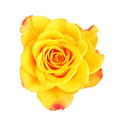 Similar image 10925203