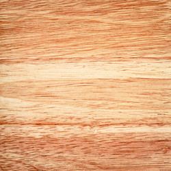 Similar image 10925231