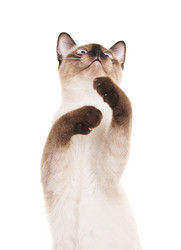 Similar image 10925238