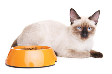 Similar image 10925240