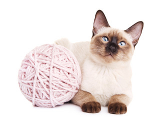 Similar image 10925243