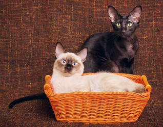 Similar image 10925245