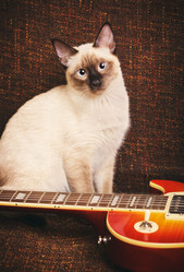 Similar image 10925247